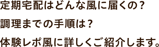 定期宅配はどんな風に届くの？調理までの手順は？体験レポ風に詳しくご紹介します。