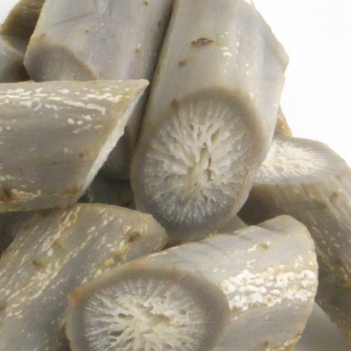 【温野菜】　ごぼう　乱切り