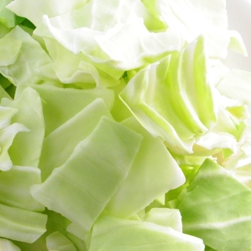 【冷野菜】　キャベツ　角切り