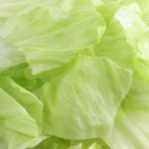 【冷野菜】　レタス　角切り
