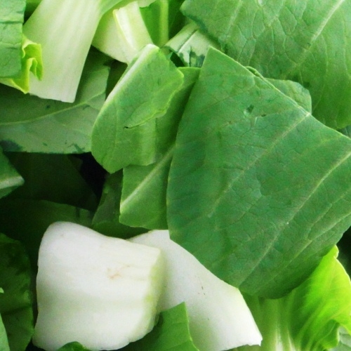 【冷野菜】　チンゲン菜　カット