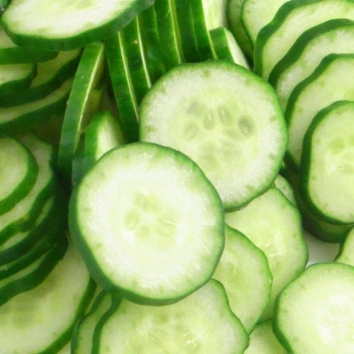 【冷野菜】　きゅうり　スライス