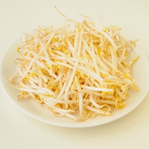 【マル野菜】　もやし