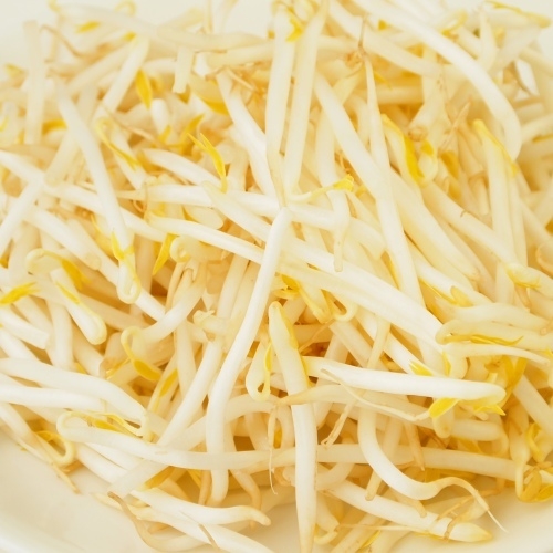 【マル野菜】　もやし