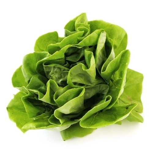 【マル野菜】　サラダ菜